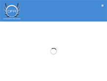 Tablet Screenshot of dfrlimo.com